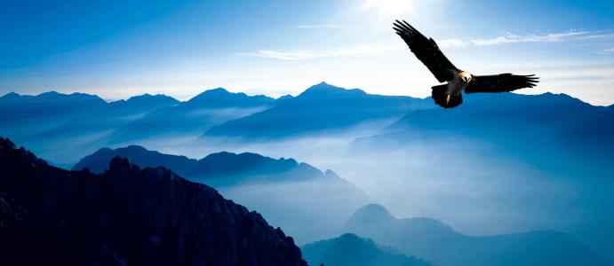 团结务实、突破创新、稳步发展的双恒人